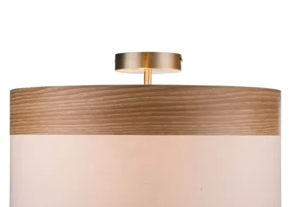 Потолочный светильник Globo Chipsy 15221D