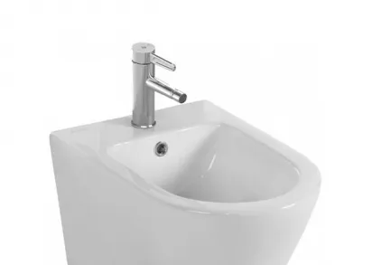 Биде подвесное Jacob Delafon Rodin+, EMJ0002-00, белое