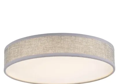 Потолочный светодиодный светильник Globo Paco 15185D1