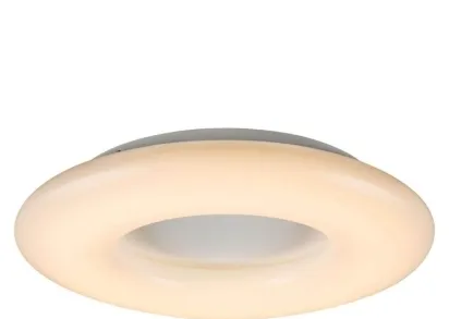 Потолочный светодиодный светильник Globo Quentin 42506-44