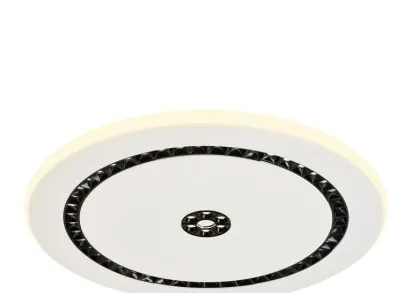 Потолочный светодиодный светильник F-Promo Skiva 4433-1C