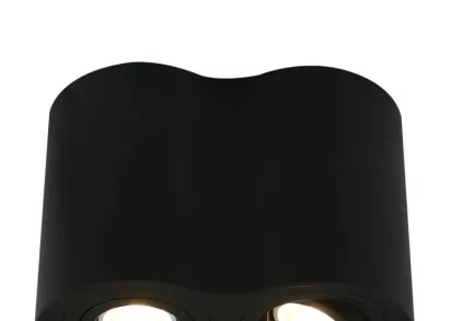 Потолочный светильник Arte Lamp A5644PL-2BK