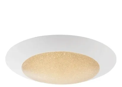 Потолочный светодиодный светильник Globo Mio 49002-37