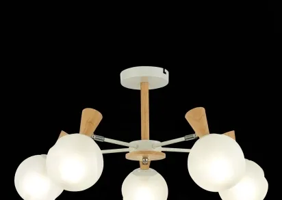 Потолочная люстра Evoluce Catania SLE220702-05