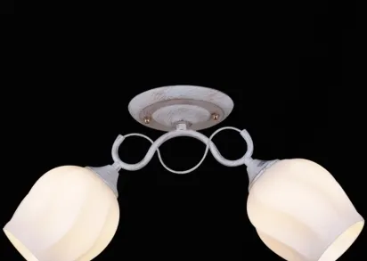 Потолочный светильник Reluce 31379-0.3-02