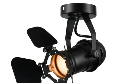 Потолочный светильник Lussole Loft Expression LSP-9838