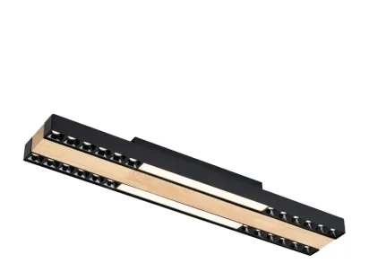 Потолочный светодиодный светильник F-Promo Zebra 4440-2C