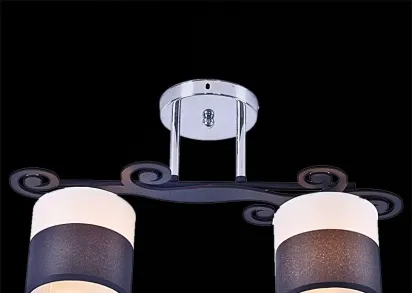 Потолочный светильник Reluce 05019-0.3-02B BK+CR