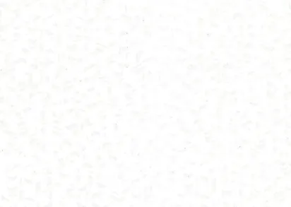 Обои Andrea Rossi Sicily 54193-1