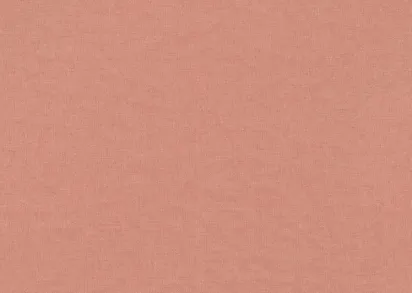 Обои Rasch Freundin Home Collection 3 464061