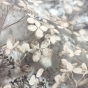 https://lipetsk.don-oboi.ru/cache/goods_photos/88x88x1xdoycynm4b5.jpg