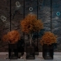 https://lipetsk.don-oboi.ru/cache/goods_photos/88x88x1xgynedgazsi.jpeg