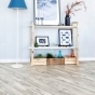https://lipetsk.don-oboi.ru/cache/goods_photos/88x88x1xlfdx56aehv.jpg