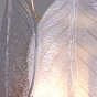 https://lipetsk.don-oboi.ru/cache/goods_photos/88x88x1xr8h9201r3n.jpeg